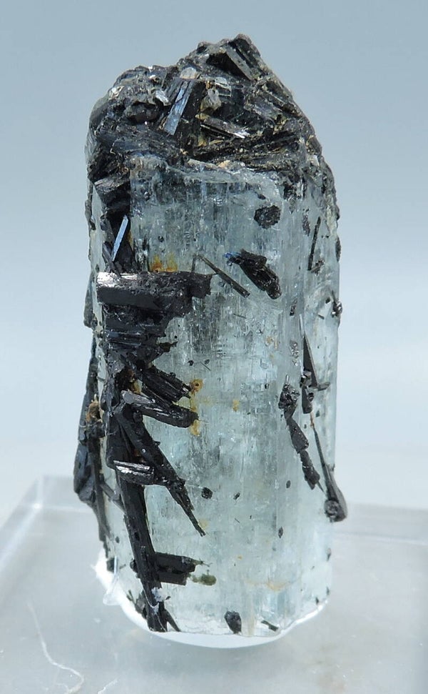 Schorl on beryl var. aquamarine from Namibia - thumbnail