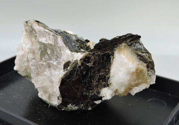 Biotite in and on matrix from Switzerland – miniature