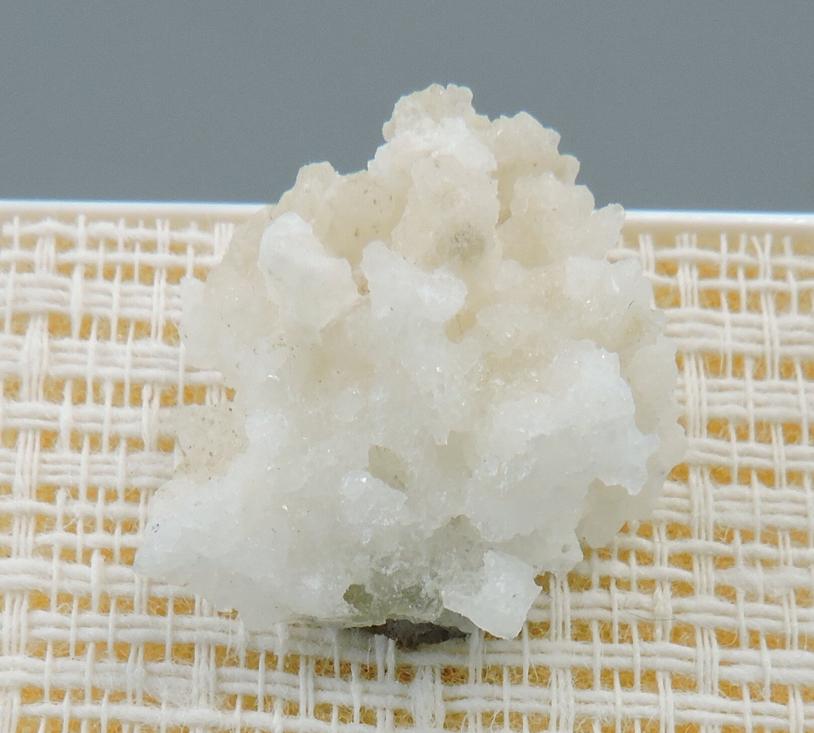 Blödite from California - USA