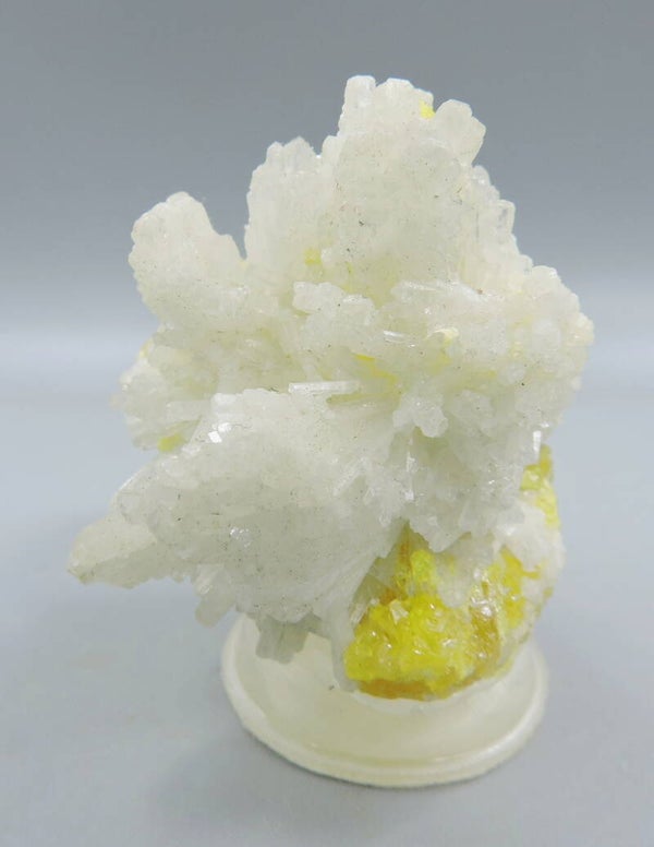 Sulphur on white fluorescent celestine from Sicily, Italy – small miniature
