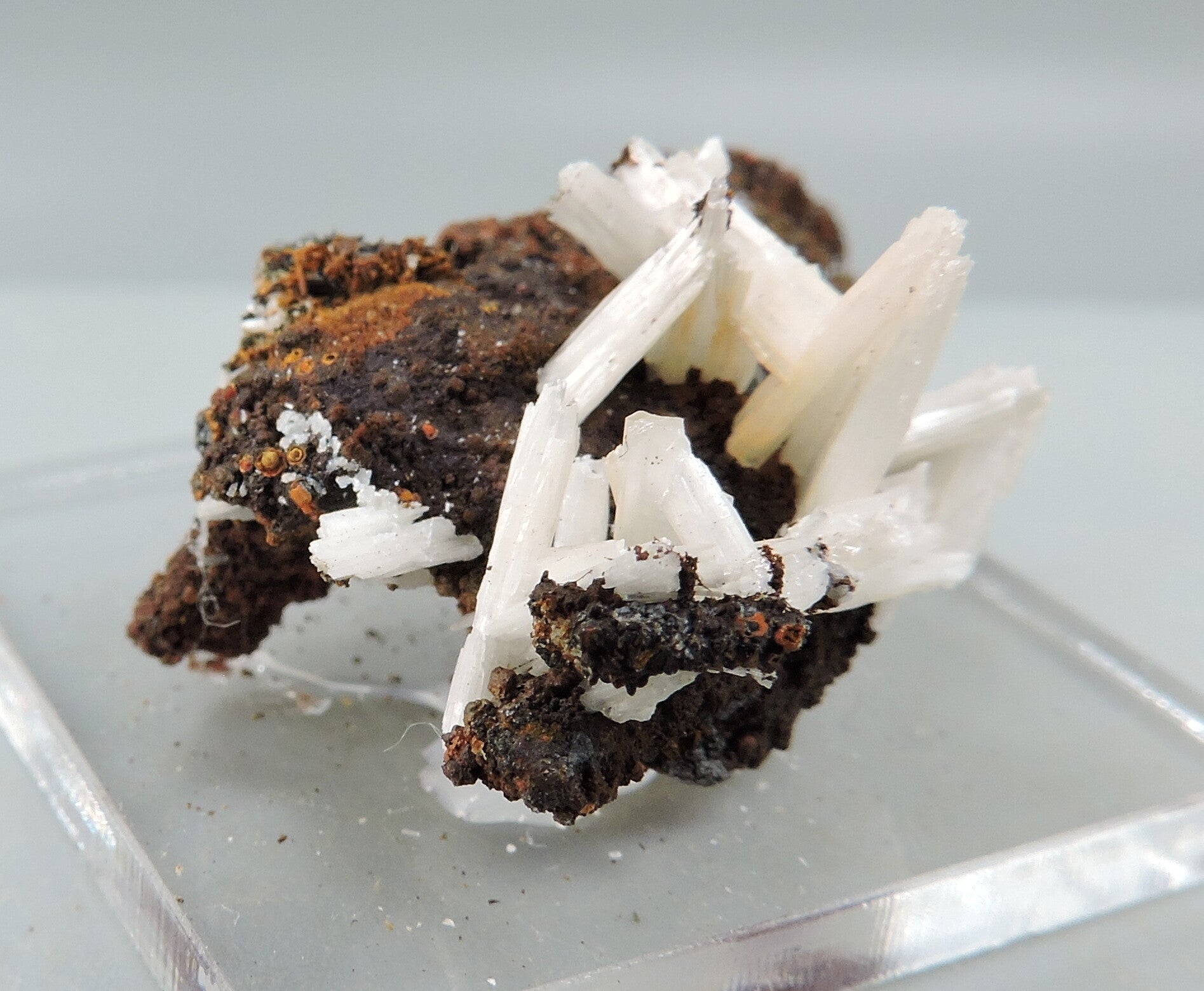 Cerussite on limonite from Arizona, USA – small miniature