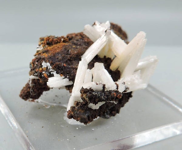 Cerussite on limonite from Arizona, USA – small miniature