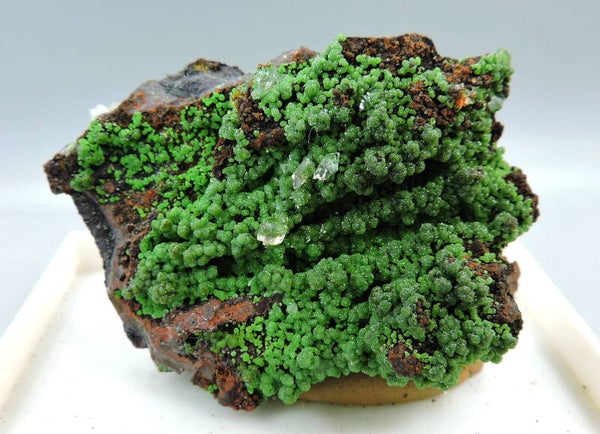 Conichalcite with calcite from Spain – miniature