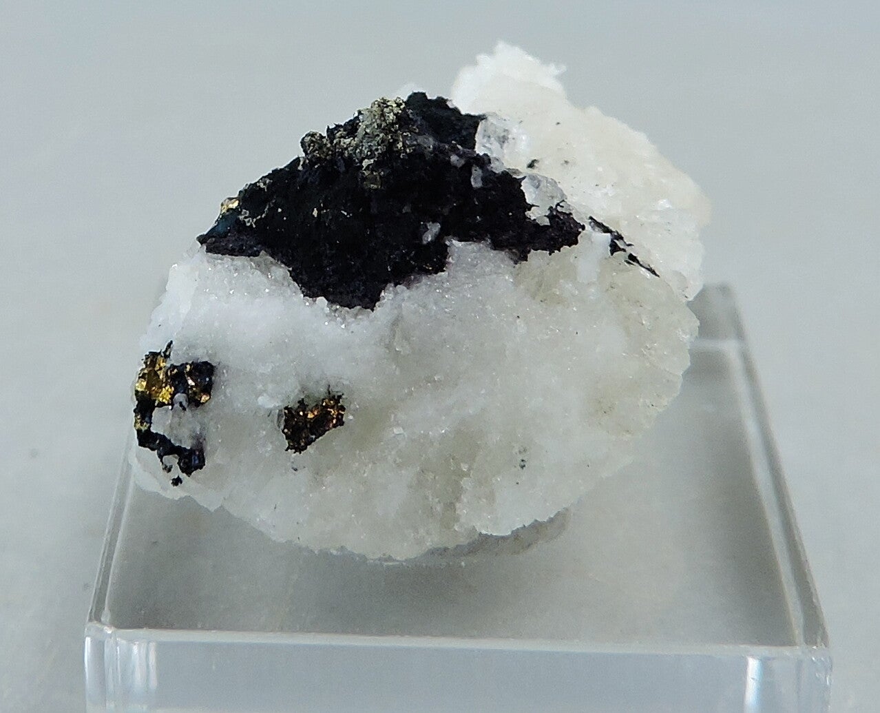 Covellite, pyrite and chalcopyrite on matrix from Germany – thumbnail