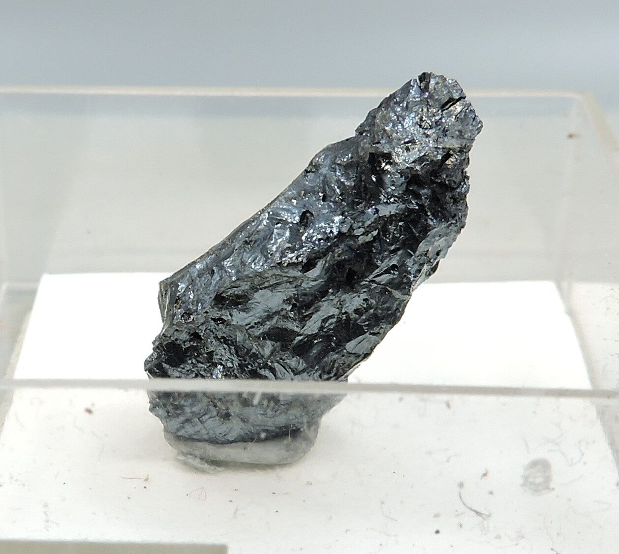 Digenite from Montana, USA – micromount thumbnail