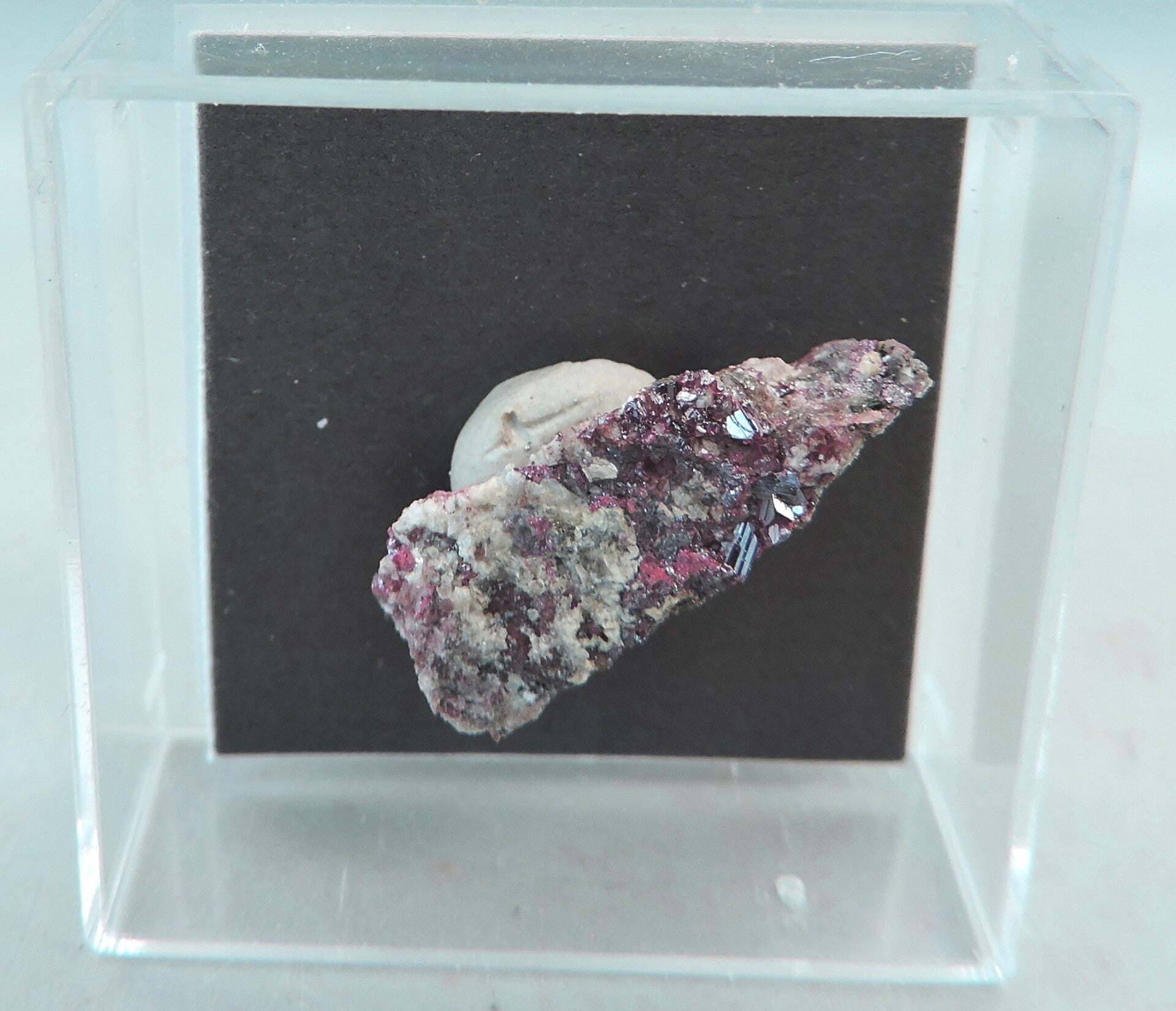 Cinnabar and mercury on matrix from Spain – micromount | MINERAL