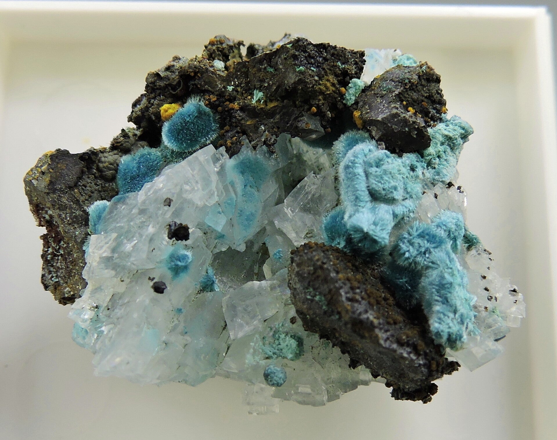 Rosasite, hemimorphite and hematite from Mexico – thumbnail