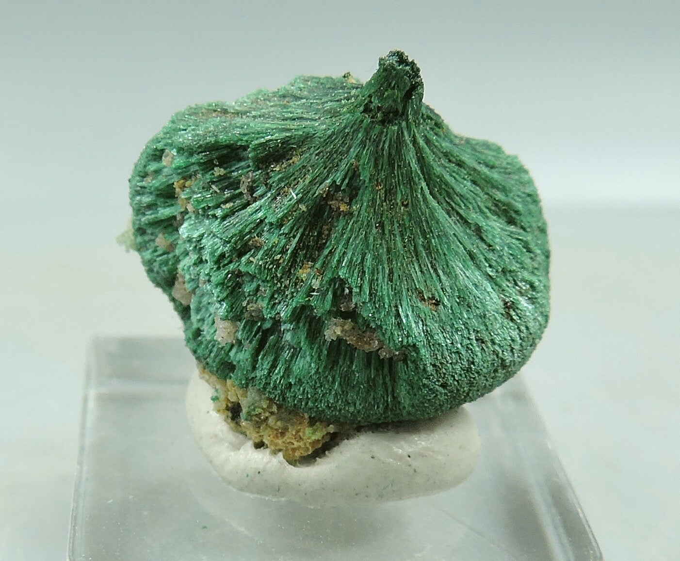 Malachite and quartz on stand from Australia – thumbnail