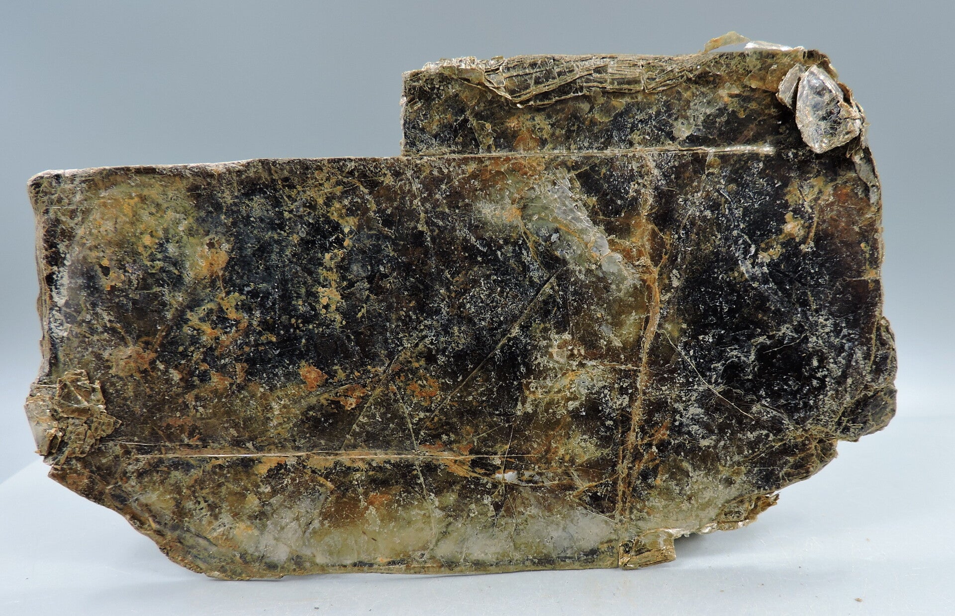 Rare vermiculite from Congo – old find - cabinet size