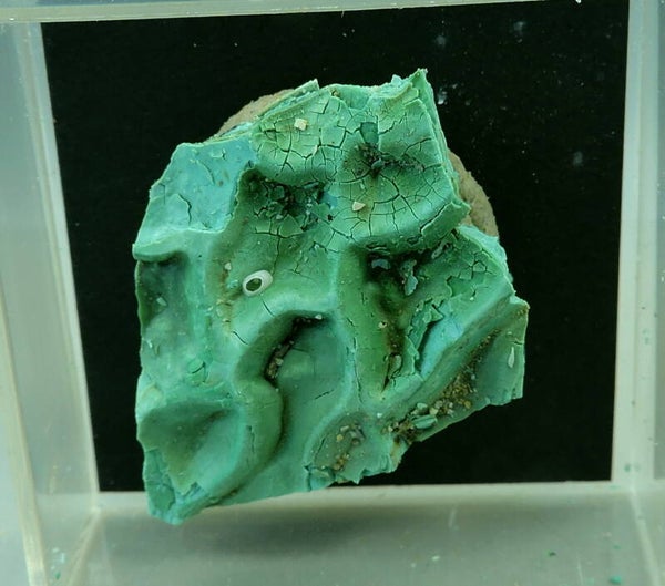 Enysite / woodwardite mix from Cornwall, England, UK – thumbnail