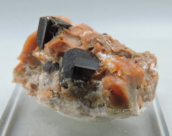 Fluor-buergerite from Mexico – thumbnail