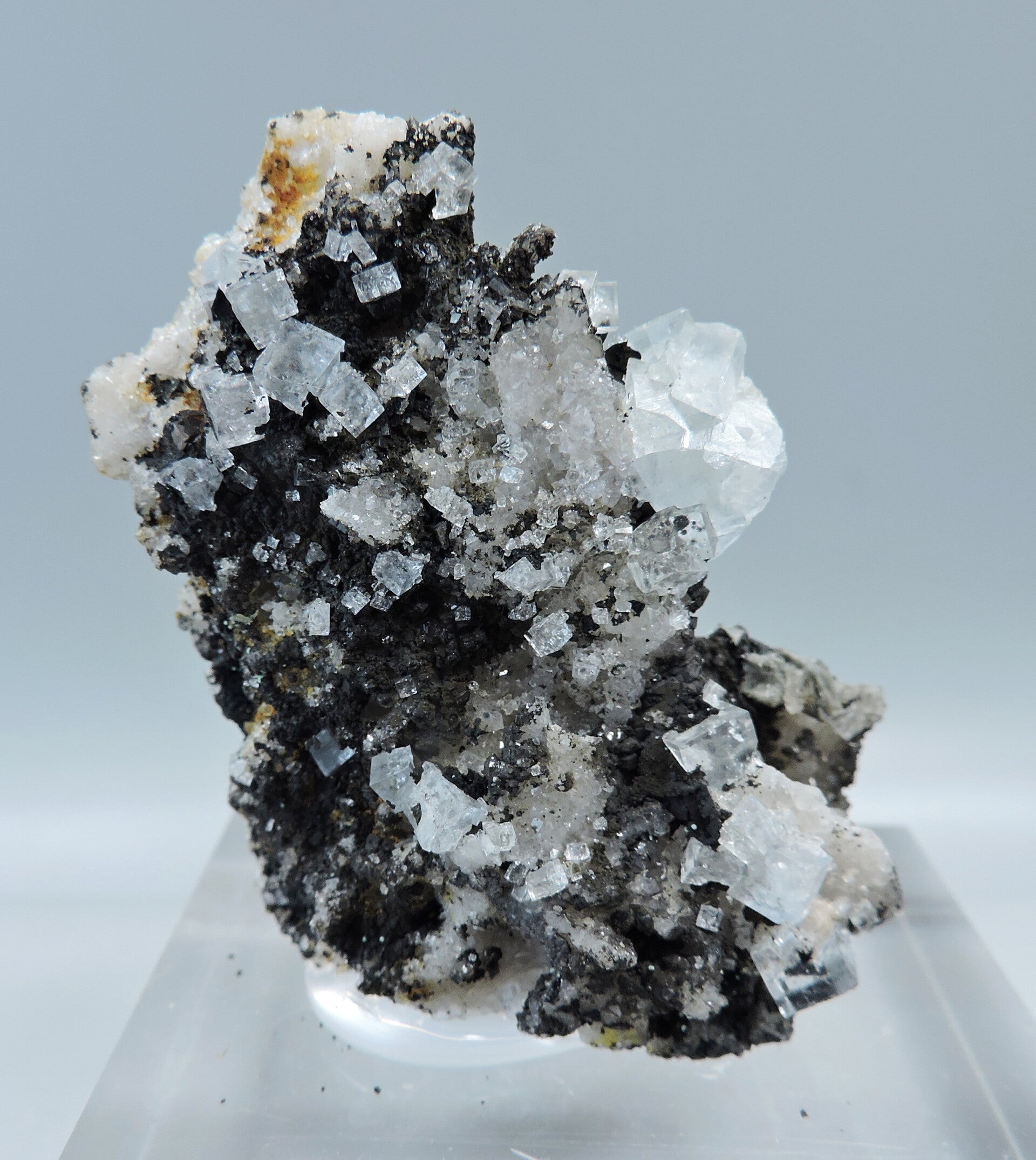 Fluorite on goethite from Germany  - fluorescent - miniature