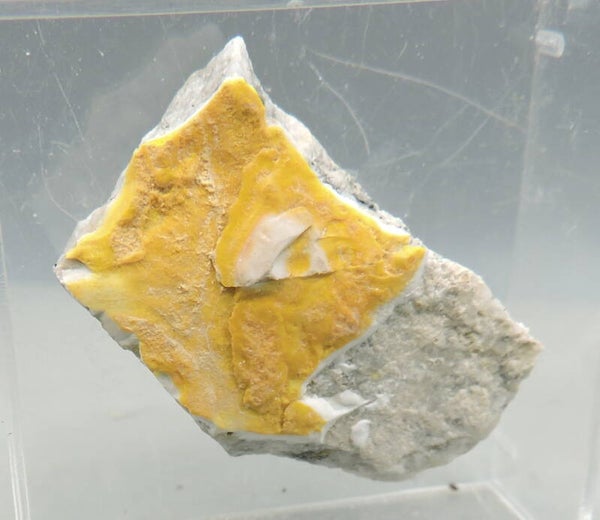 Opal var. forcherite from Austria – thumbnail