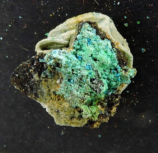 Gerhardtite from Germany – thumbnail