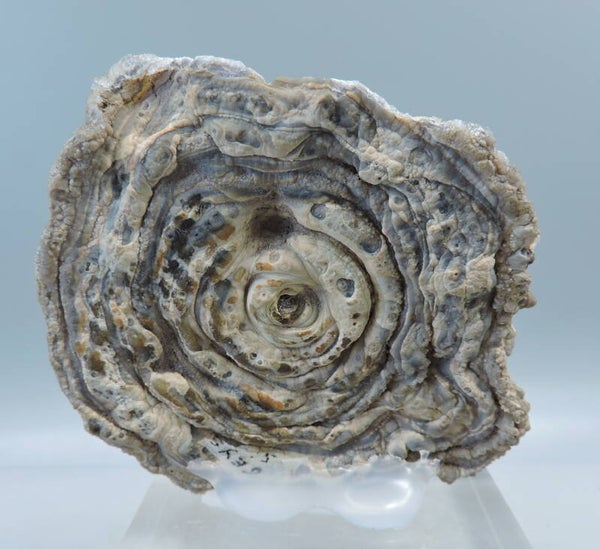 Geyserite from the USA – miniature