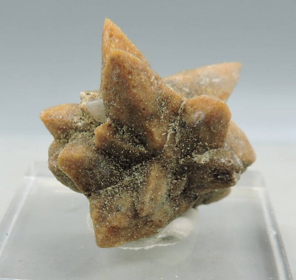 Calcite var. glendonite pseudomorph after ikaite from Russia – thumbnail
