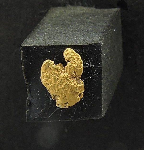 Native gold from Fairbanks, Alaska, USA – thumbnail
