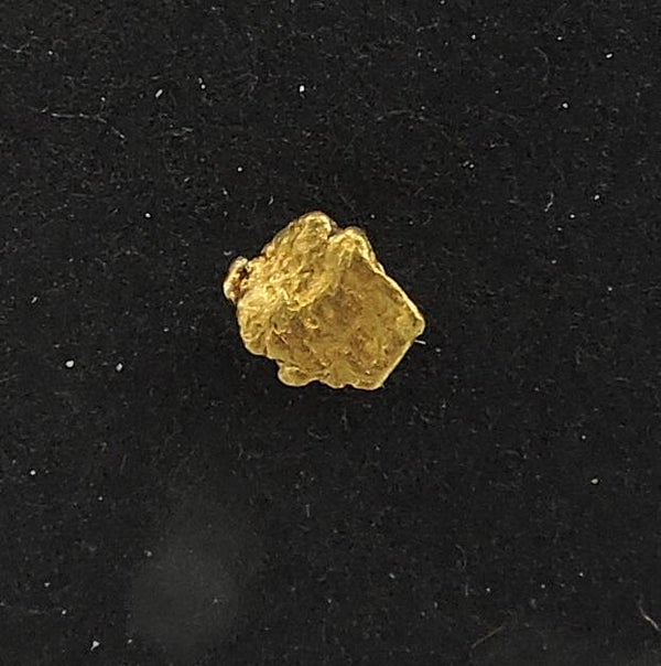 Native gold from Fairbanks, Alaska, USA – thumbnail