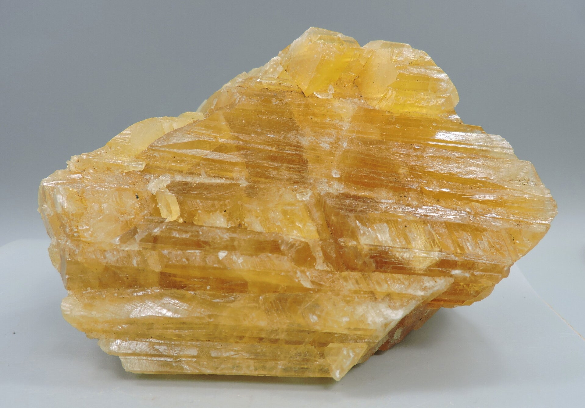 Honey calcite from Germany - fluorescent - large cabinet size