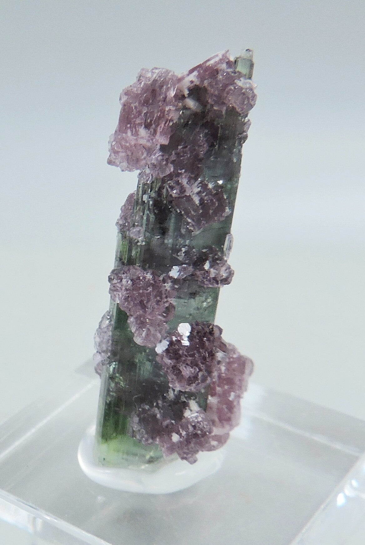 Lepidolite on elbaite from Brazil - thumbnail