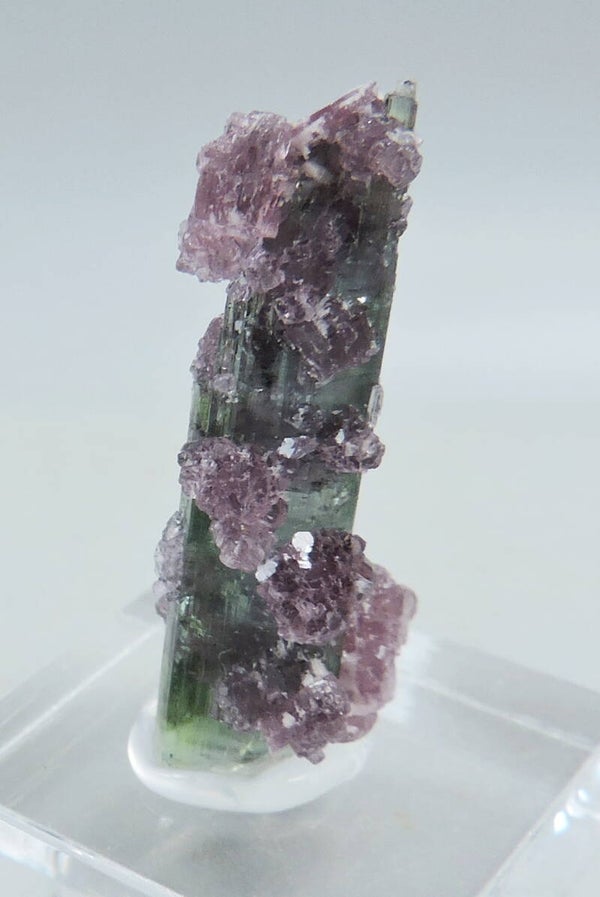Lepidolite on elbaite from Brazil - thumbnail
