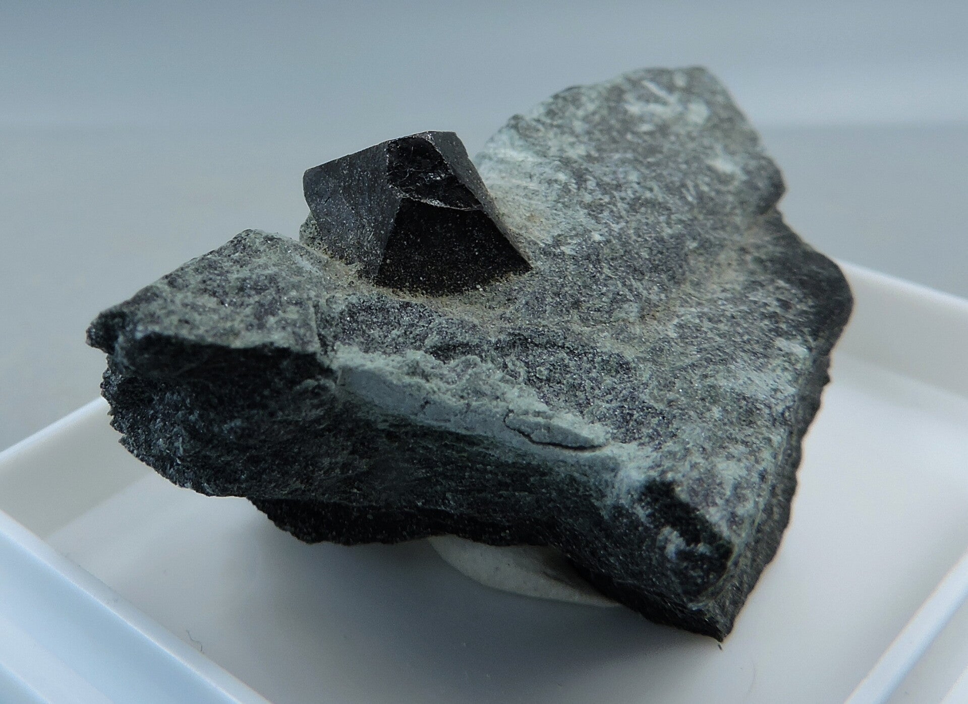 Magnetic magnetite on matrix from Austria – miniature