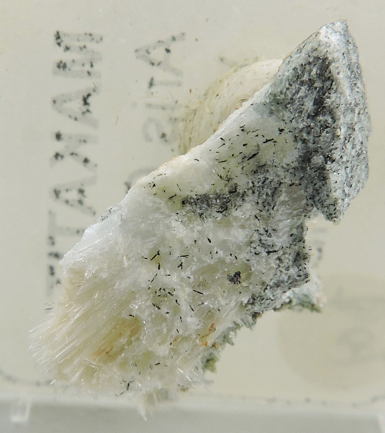 Aegirine on makatite from Namibia – thumbnail