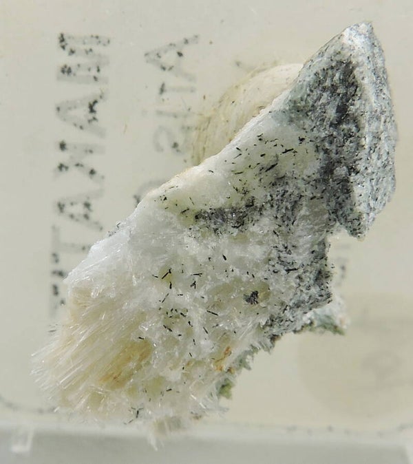 Aegirine on makatite from Namibia – thumbnail
