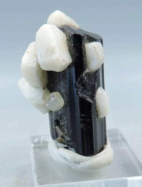 Microcline crystals on schorl crystal from Pakistan – thumbnail
