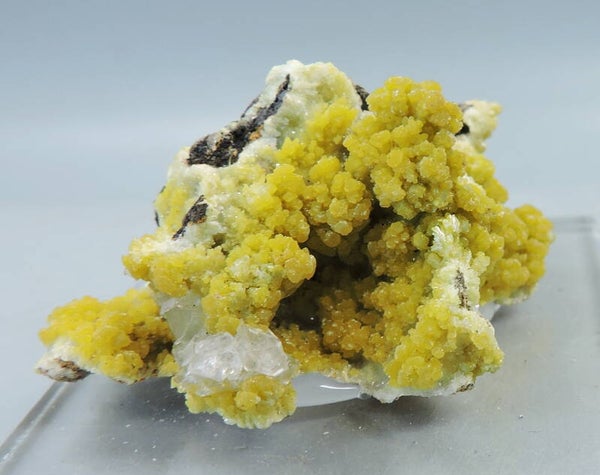 Mimetite on matrix from Mexico – miniature