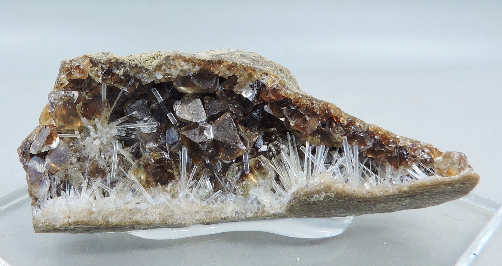 Natrolite needles and calcite in petrified wood from Uganda – miniature