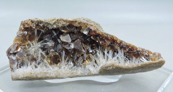 Natrolite needles and calcite in petrified wood from Uganda – miniature