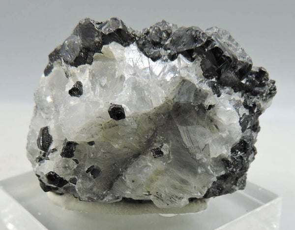Pargasite from Finland – type locality – thumbnail
