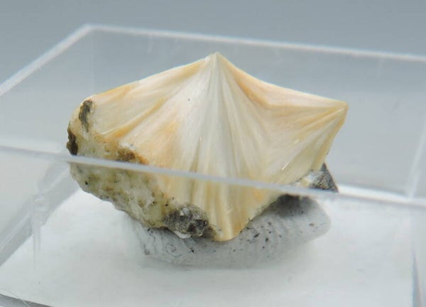 Pectolite from the Czech Republic – thumbnail