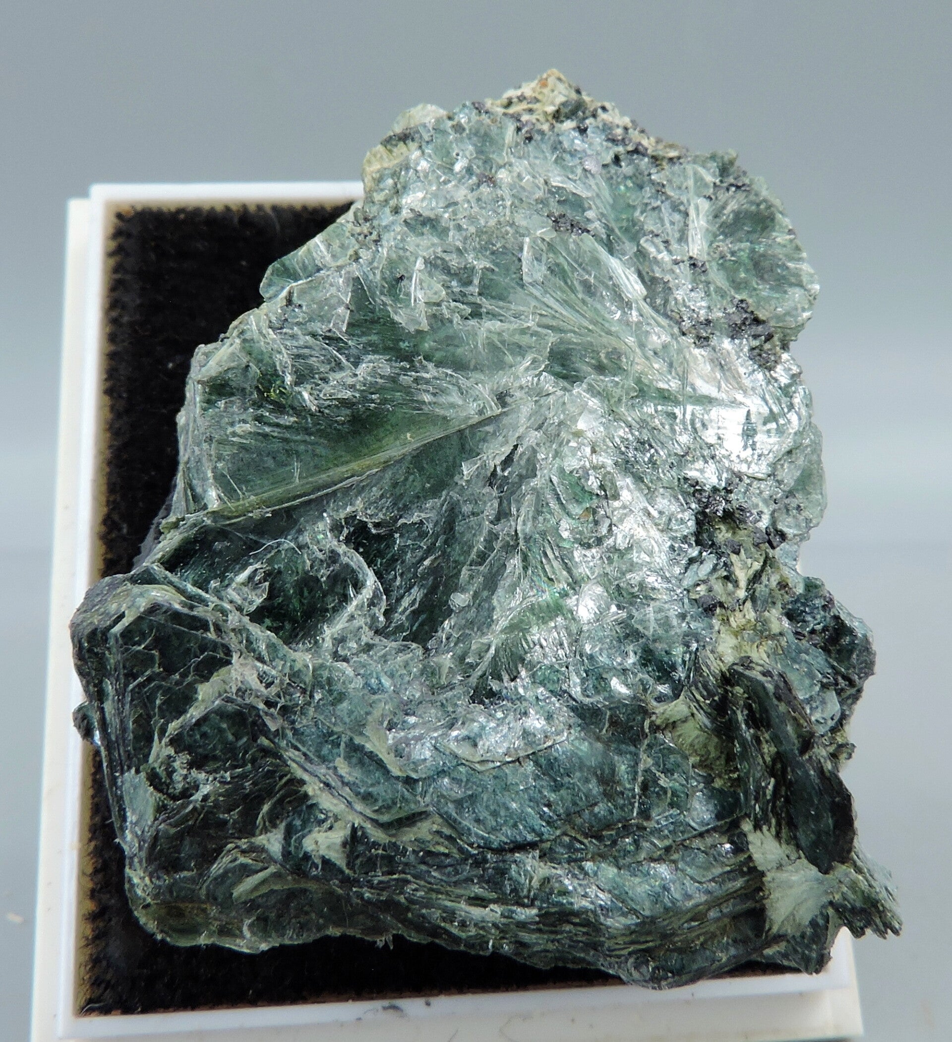 Clinochlore var. pennine from Italy – miniature