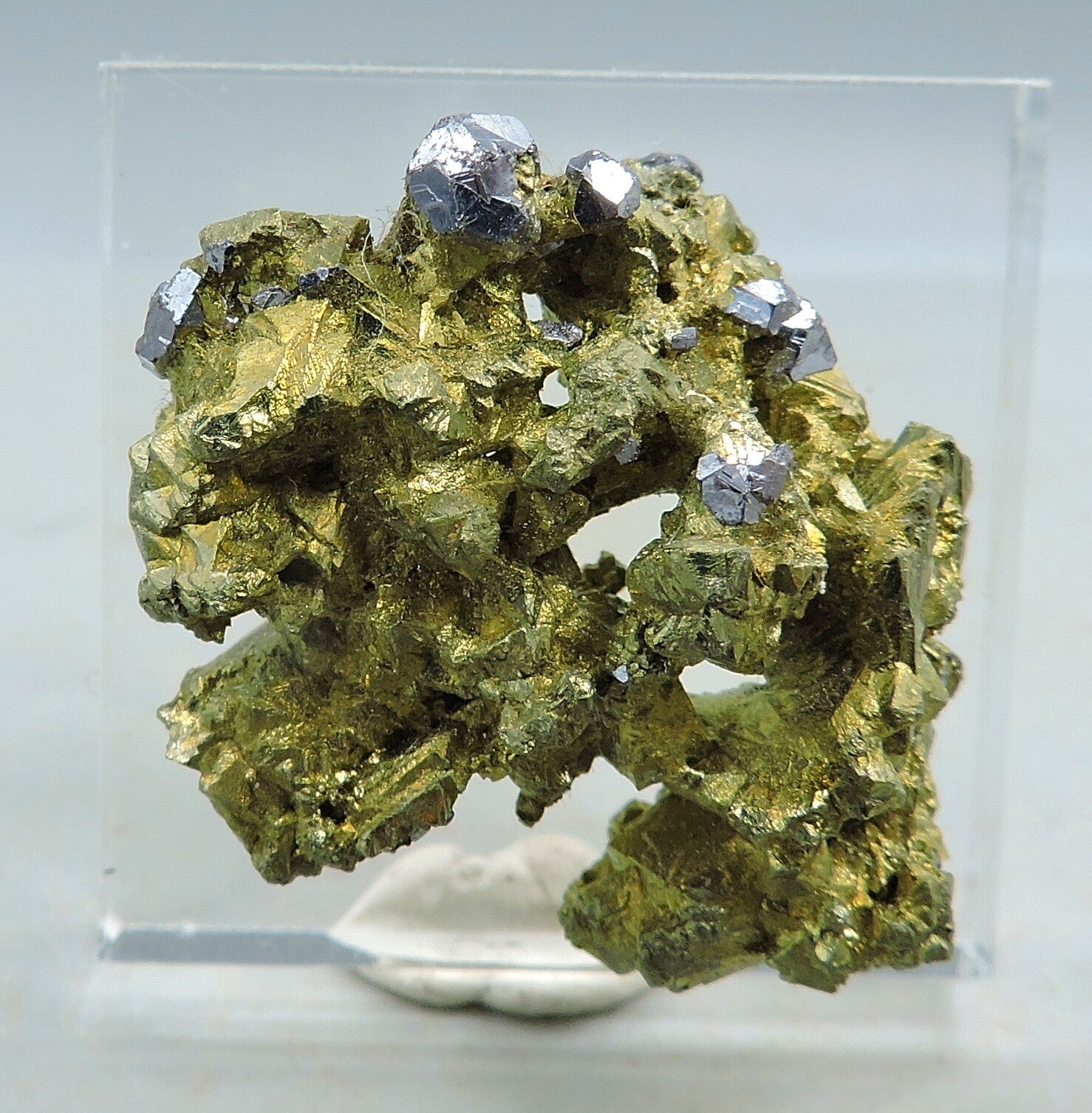 Galena on pyrite from Kosovo – thumbnail