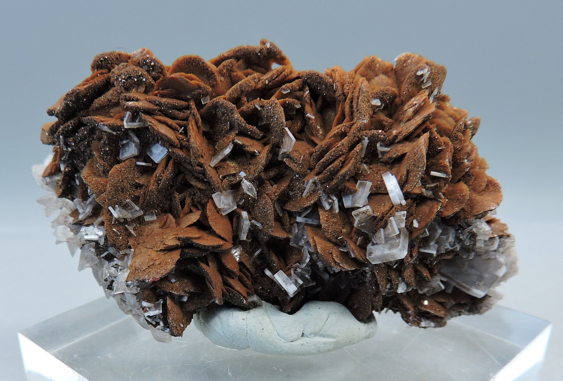 Baryte and calcite on siderite from Italy – miniature