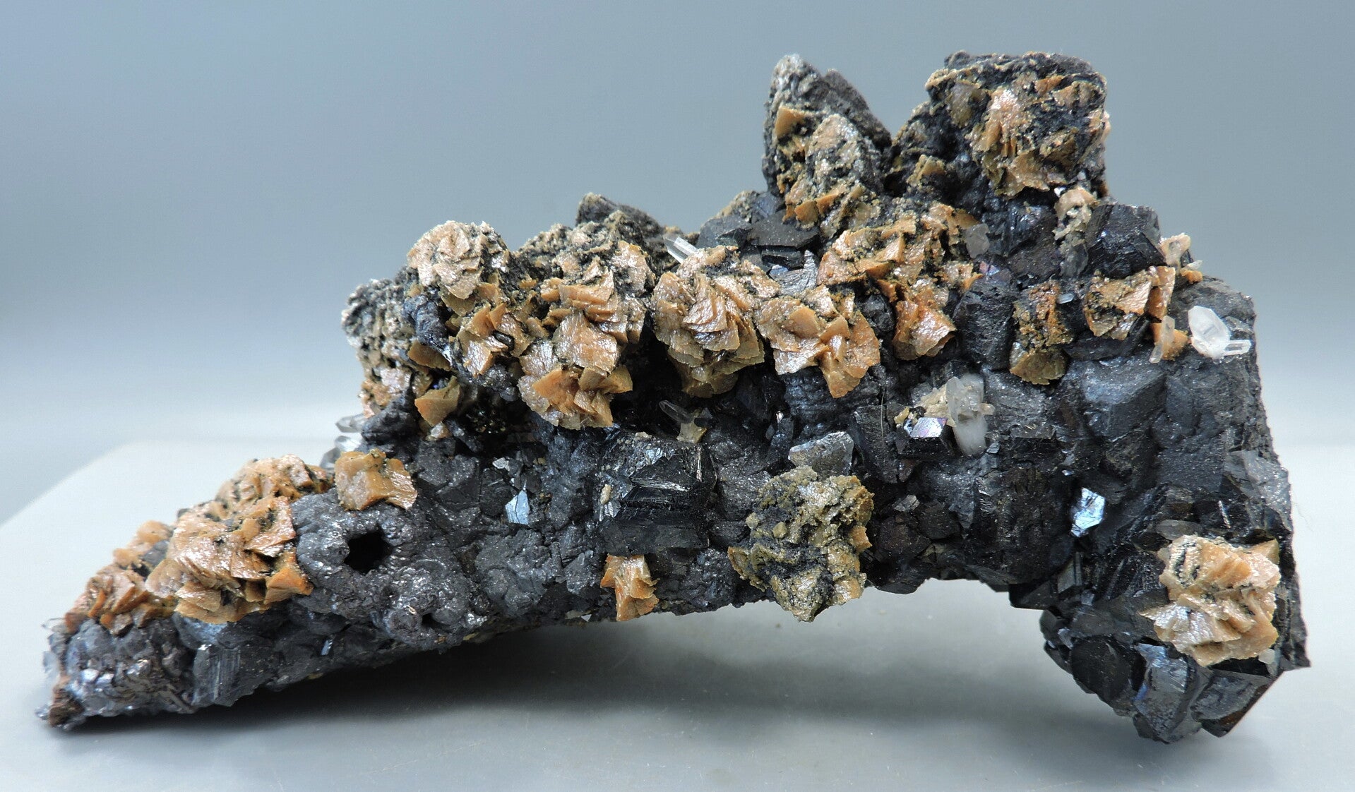 Siderite on galena and sphalerite – cabinet size