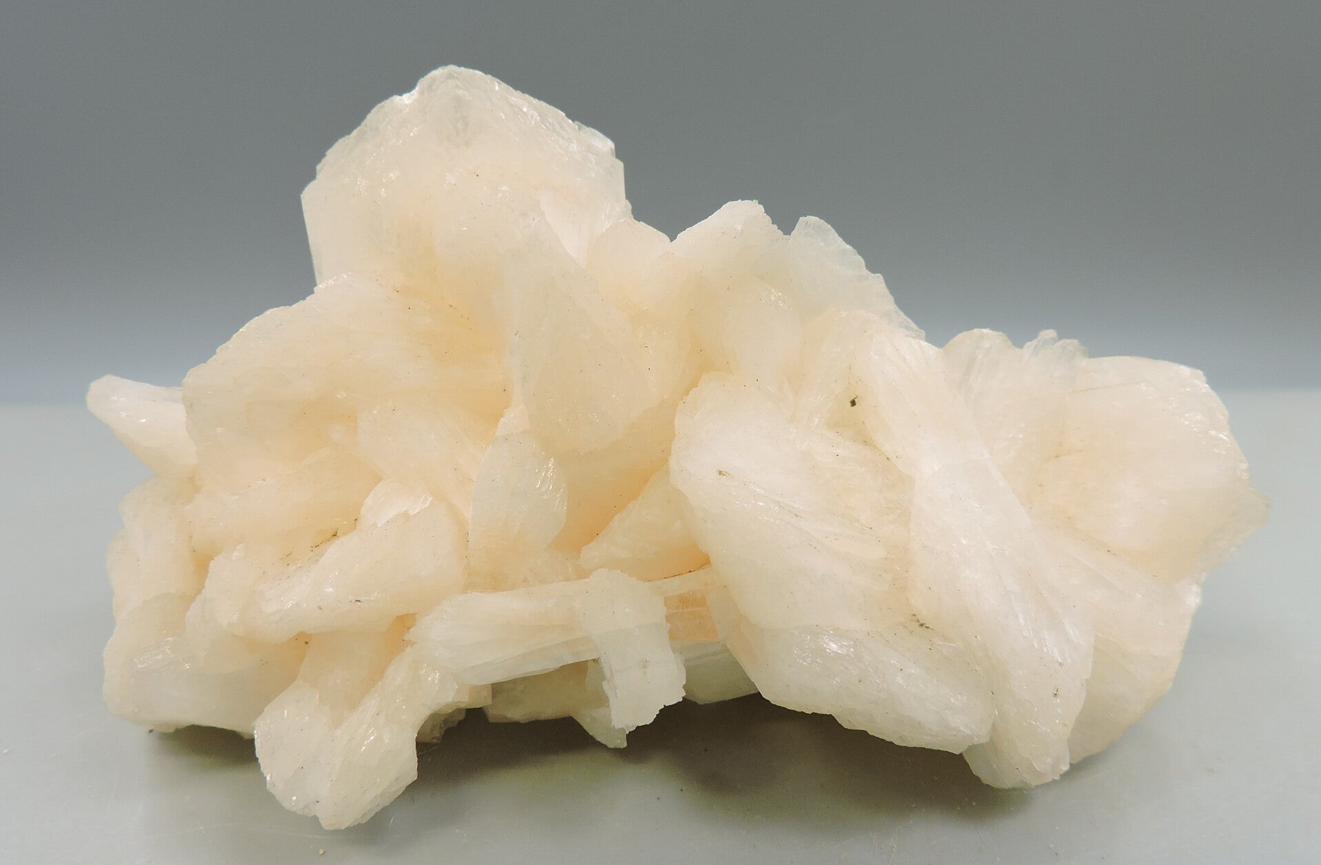 Cream white stilbite from India – cabinet size