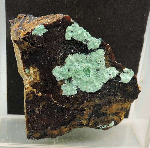 Strashirimite from Nevada, USA – thumbnail