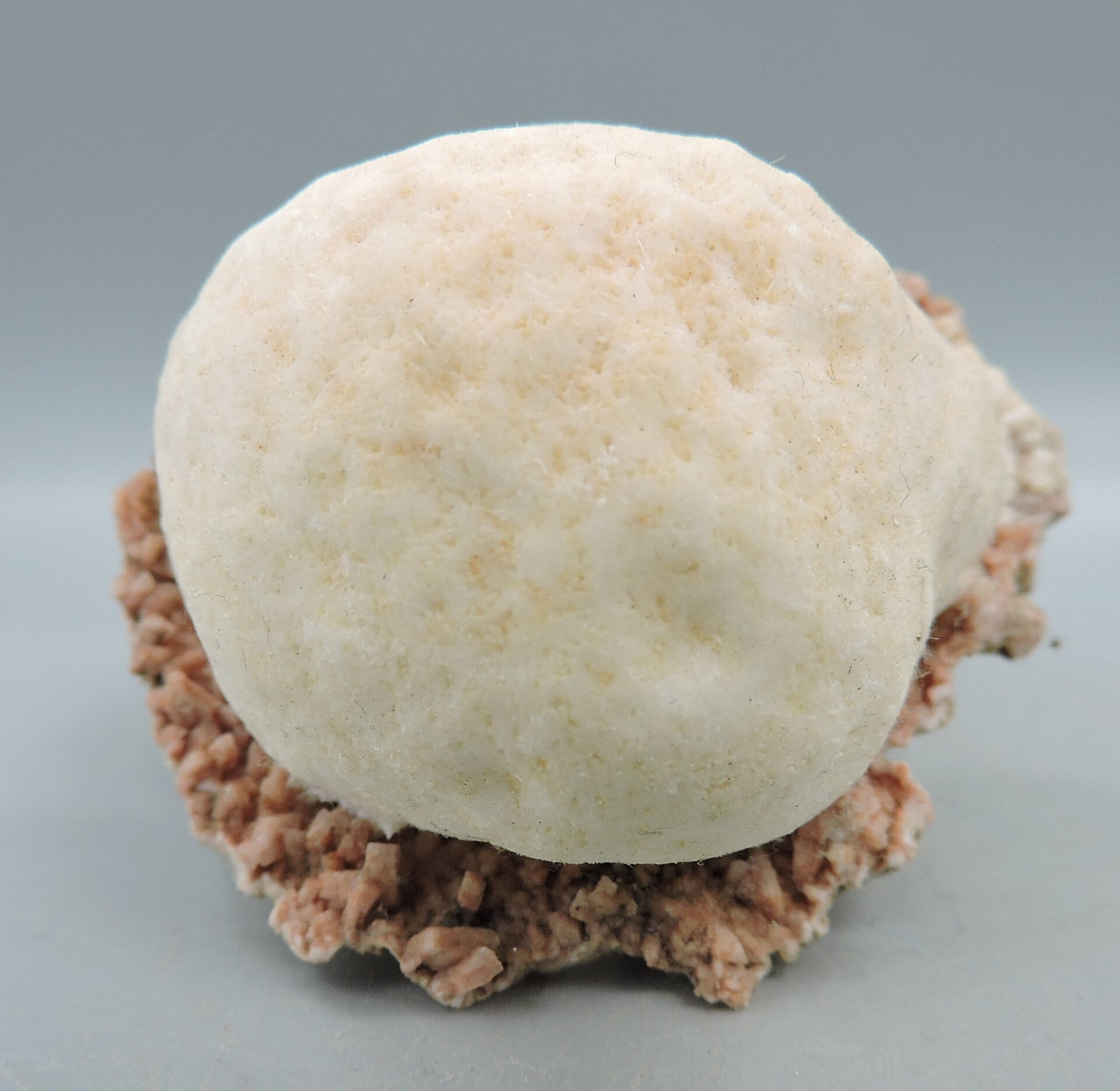 Thomsonite on stilbite from India – miniature