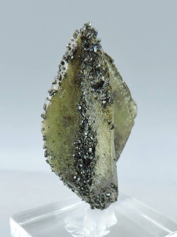 Titanite twin with chlorite from Austria – thumbnail