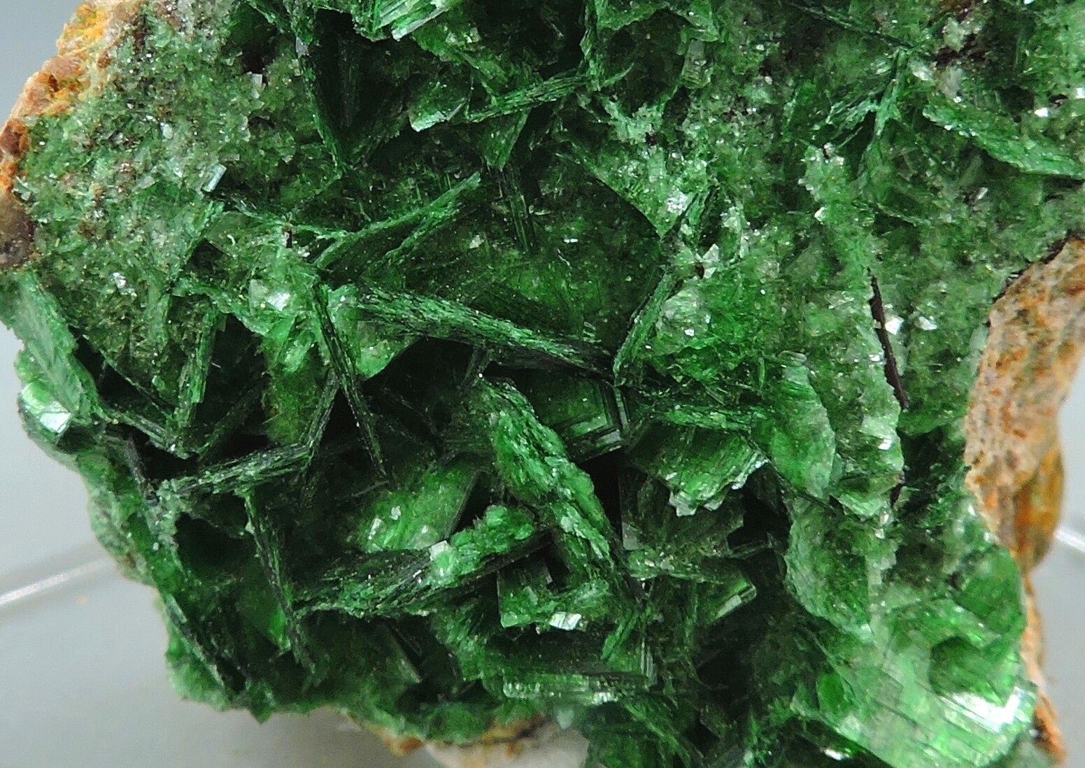 Torbernite from France – miniature | MINERAL COLLECTION