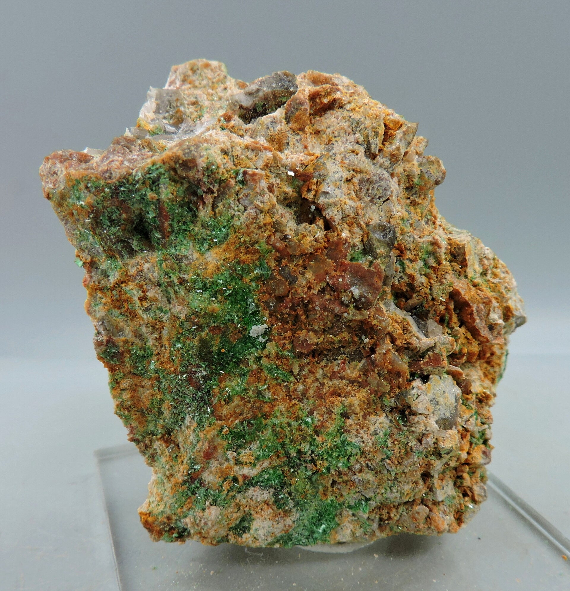 【稀少】フランス産　Torbernite Torbernite from France – miniature | MINERAL COLLECTION