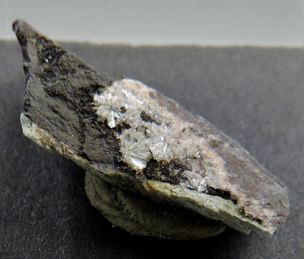 Vantasselite from Belgium – thumbnail