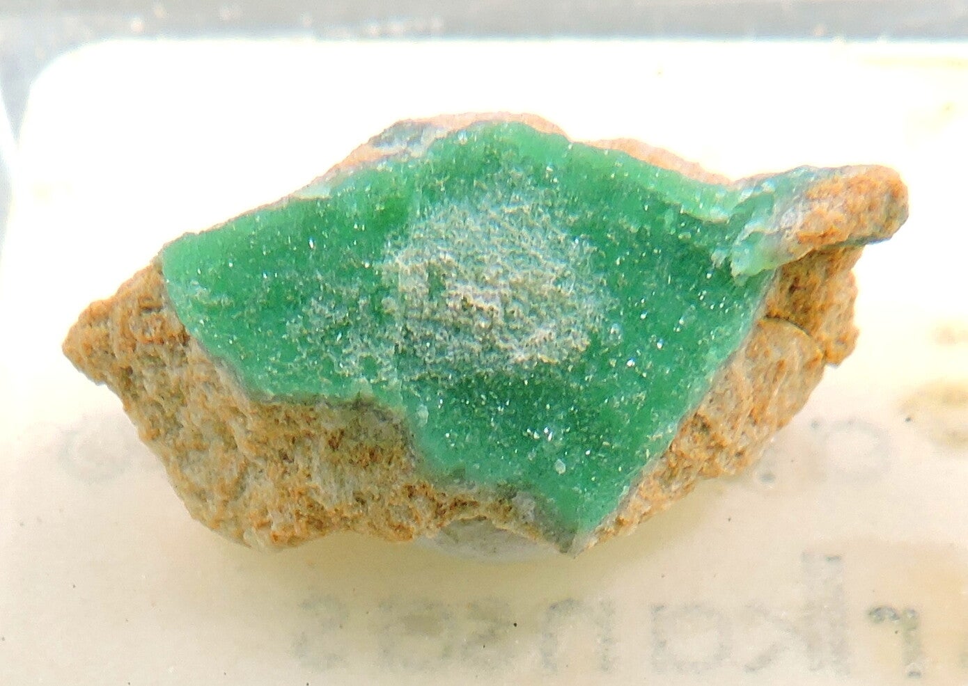 Variscite from Arkansas, USA – thumbnail