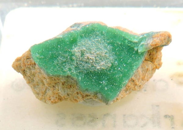 Variscite from Arkansas, USA – thumbnail