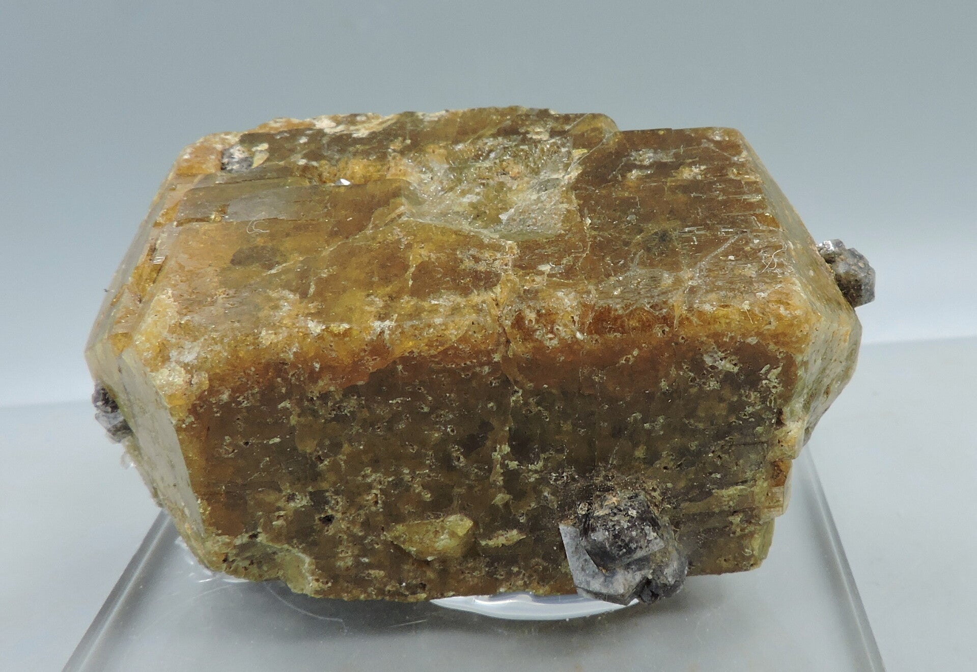 Double terminated vesuvianite with grossular from Mexico – miniature