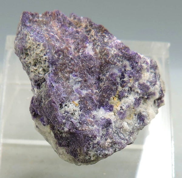 Violan from Italy – first reported locality – thumbnail