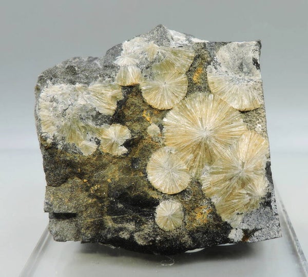 Wavellite on matrix from England, UK – miniature